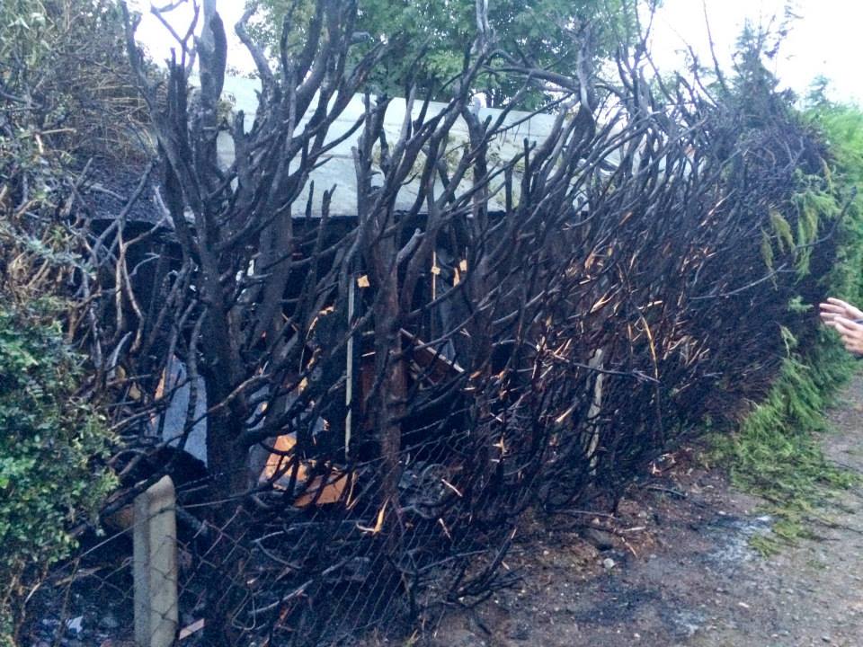 fire1