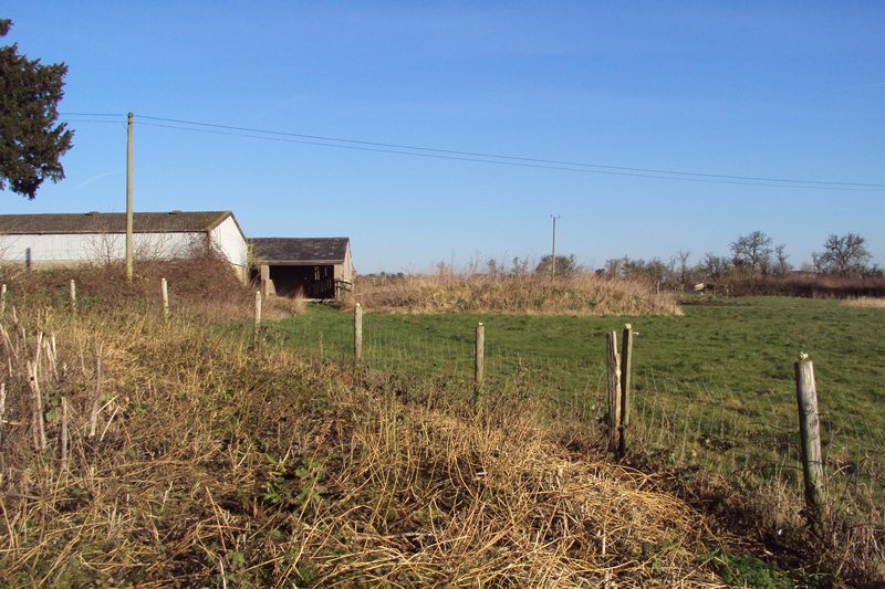 rockfarm 2