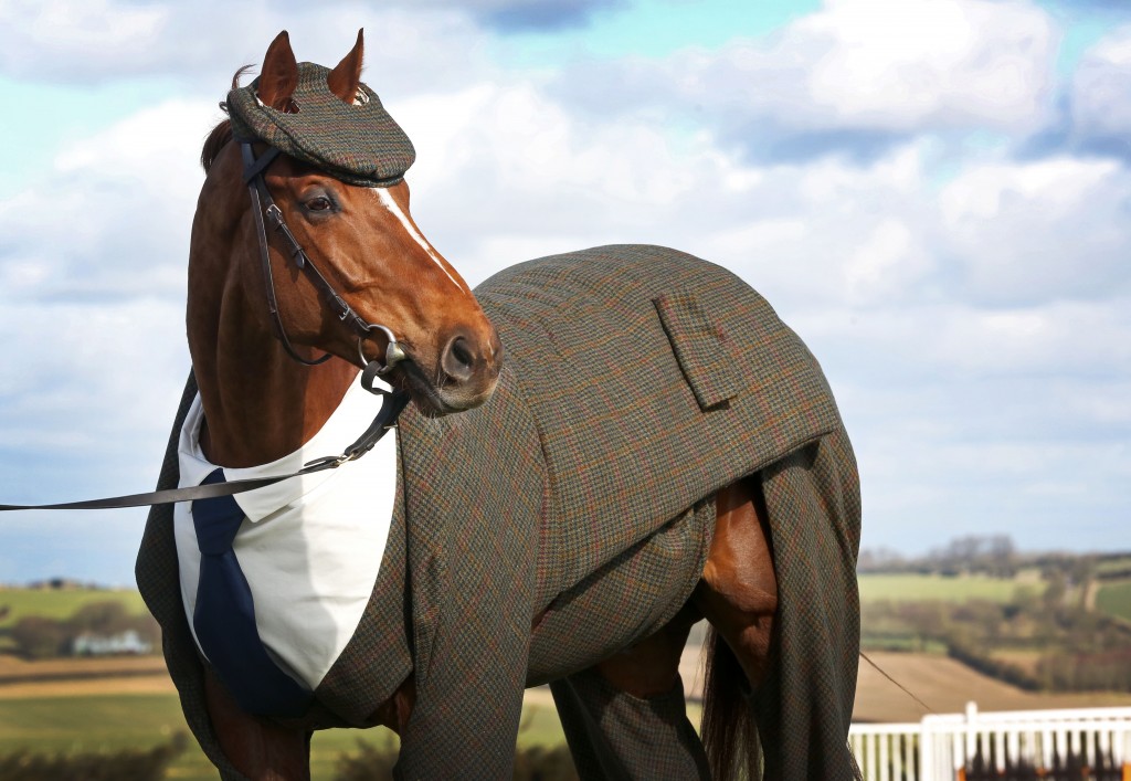 EMBARGO 00:01 MON 14 MAR - William Hill commission world?s first Harris Tweed suit for a racehorse, Berkshire, Britain - 13 Mar 2016