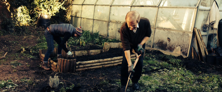 volunteering-Article