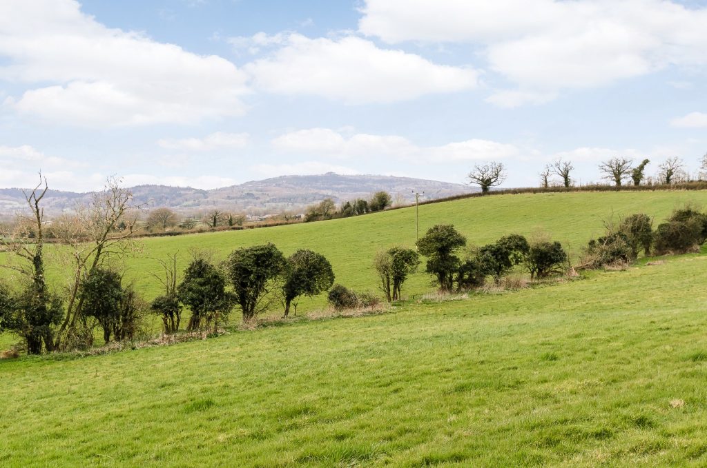 Bulley Farm 2