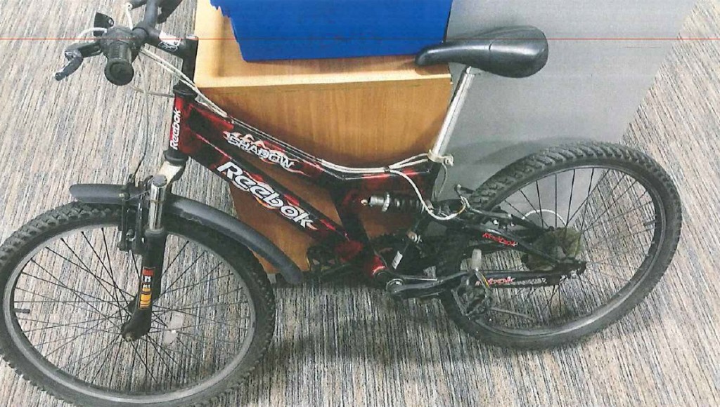 Reebok Bike