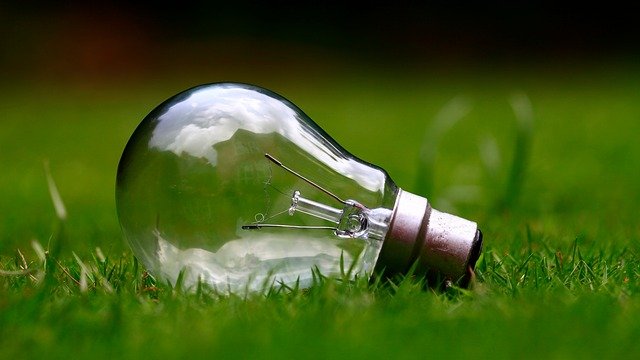 Light bulb on grass.